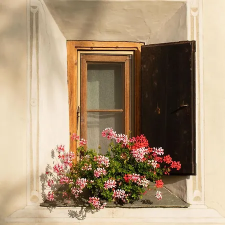 Chesa Rosatsch - Of Food 4* Celerina/Schlarigna