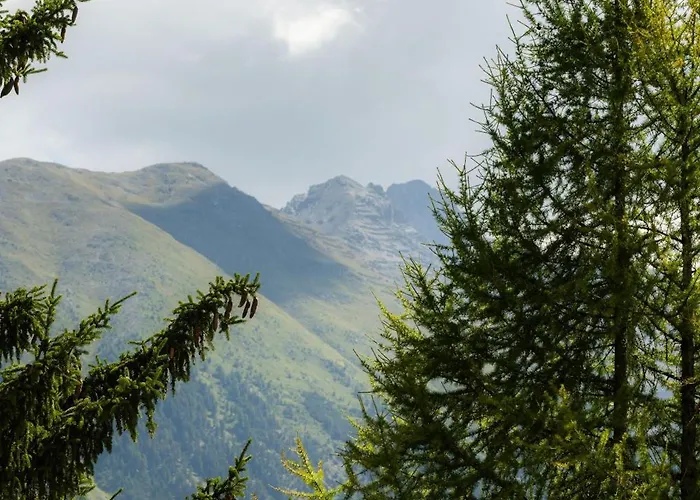 Chesa Rosatsch - Of Food Otel 4*